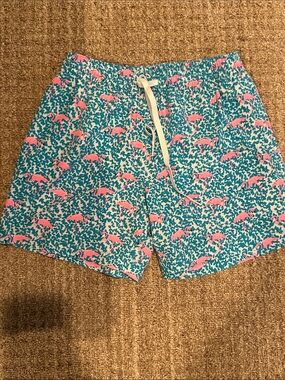 Chubbies lined swimsuit
